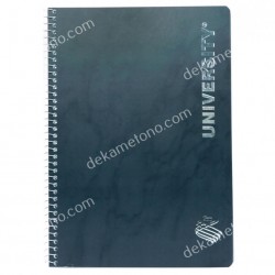 ΤΕΤΡΑΔΙΟ ΣΠΙΡΑΛ UNIVERSITY SILVER 17*25 2ΘΕΜΑΤΩΝ Νο9102 SKAG