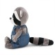 DENNY THE RACCOON: FISHERMAN'S DREAMS denny the raccoon: fisherman's dreams 06.06.0063