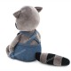 DENNY THE RACCOON: FISHERMAN'S DREAMS denny the raccoon: fisherman's dreams 06.06.0063