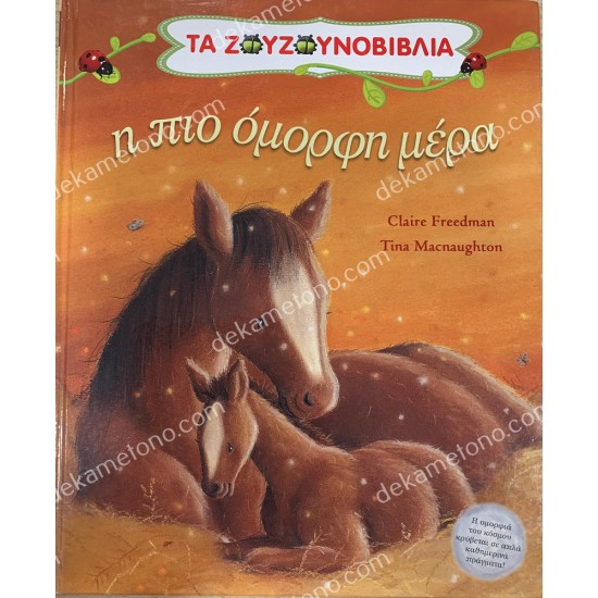 η πιο ομορφη μερα 05.02.0482