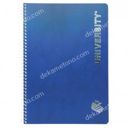 ΤΕΤΡΑΔΙΟ ΣΠΙΡΑΛ UNIVERSITY SILVER 17*25 2ΘΕΜΑΤΩΝ Νο9102 SKAG