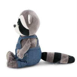 DENNY THE RACCOON: FISHERMAN'S DREAMS