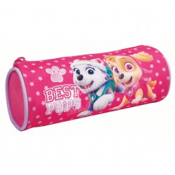ΚΑΣΕΤΙΝΑ ΒΑΡΕΛΑΚΙ PAW PATROL BEST PUPS