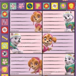 ΕΤΙΚΕΤΕΣ ΜΕ ΑΥΤΟΚΟΛΛΗΤΑ PAWPATROL 